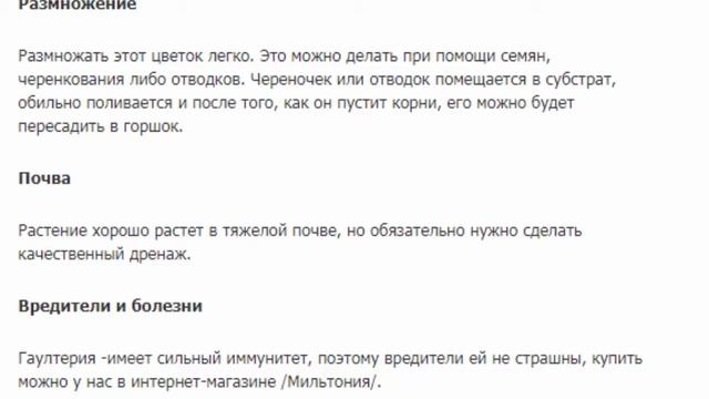 Гаултерия уход, посадка смотреть онлайн