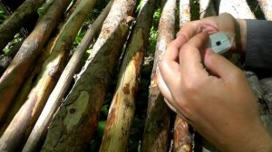 ☢ ДОЗИМЕТР RADEX RD1503 Plus, обзор и тест в условиях повышенного радиационного фона