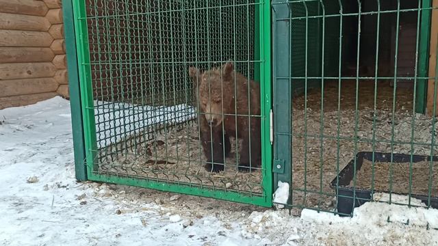 Все как всегда😂👍🐻❤ смотреть онлайн