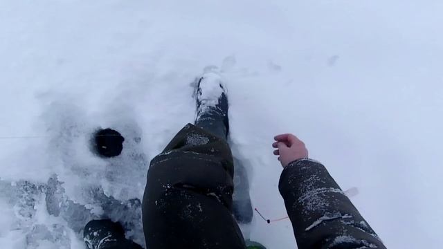 Зимняя рыбалка со льда на Севере [Архивное видео] смотреть онлайн