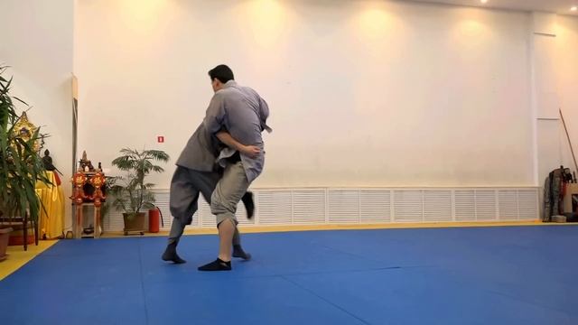 День открытых дверей Школы Мастера Ши Янбина 2015 смотреть онлайн