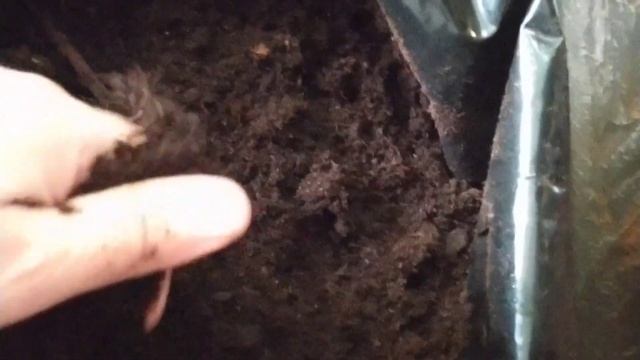 Обзор бюджетного почвогрунта и не только. смотреть онлайн