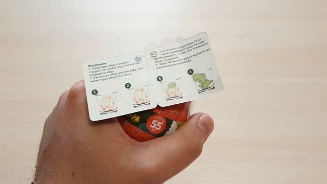 ТЕСТИРУЮ НОВИНКИ ИЗ FIX PRICE, МУЛЯЖ КАМЕРЫ НАБЛЮДЕНИЯ И ЯЙЦО «ВЫРАСТИ СВОЕГО ДИНОЗАВРА»