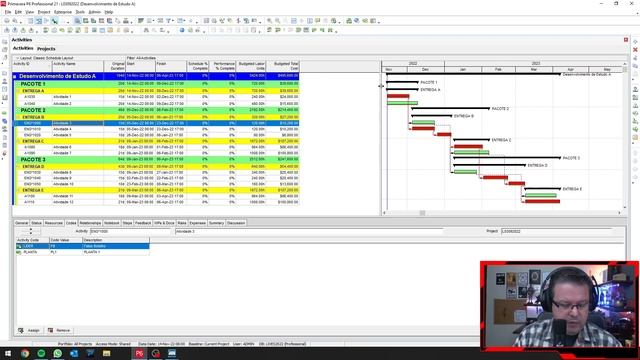 Oracle Primavera P6 - Activity code - Code ou description ? смотреть онлайн