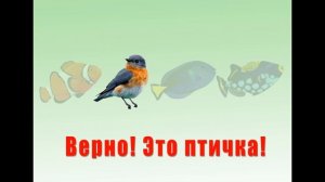 «Четвёртый лишний». Развивающие видео для детей 4-6 лет.