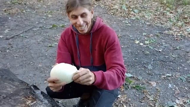 купил страусиное яйцо ,? а оно окозалося тухлим - кинули на бабки жесть ? смотреть онлайн