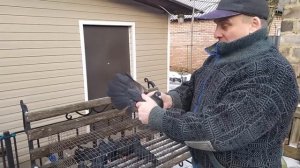 Голуби. Горловка. Донецк. + Архивные Фото Питомника Брагина.