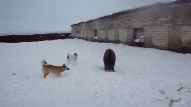 MOV07365 смотреть онлайн