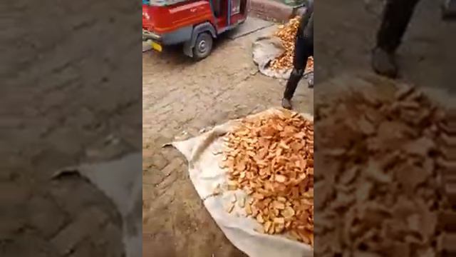 Кормим коров Враджа, Го-сева, Вриндаван смотреть онлайн