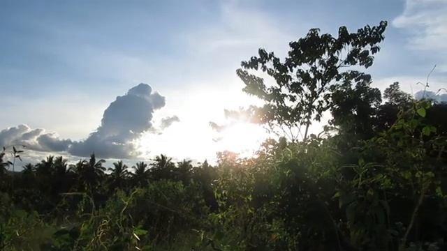 Canon Powershot SX620 HS Video Test смотреть онлайн