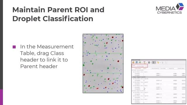 Counting & Classification (Advanced) with Count By ROI in Image-Pro смотреть онлайн