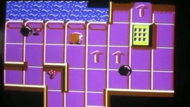 Review Groovy Garden and Wheelies Commodore 64 смотреть онлайн