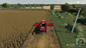 УБОРКА ПОДСОЛНУХОВ | FARMING SIMULATOR 19 #4