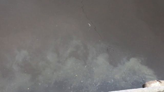 Водоканал собирается чистить Карповку за 350 млн рублей смотреть онлайн