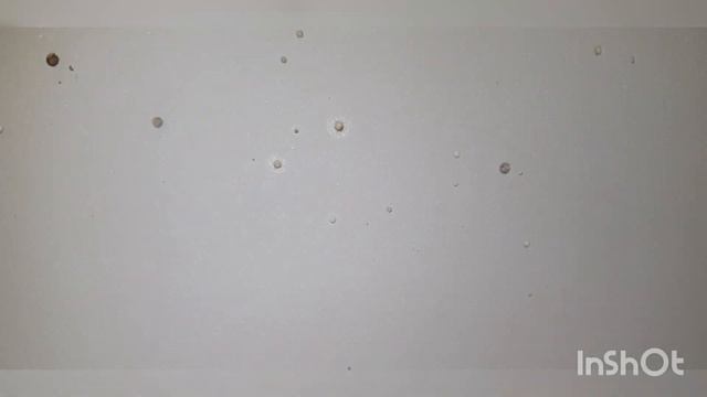 ВЫШНИЙ ВОЛОЧЕК реставрация ванн, текущих дырявых поддонов душевых кабин от Антона. смотреть онлайн