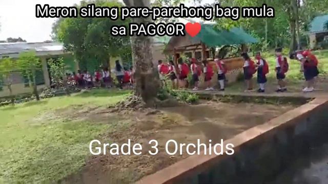 Simulation Activity for Progressive face to face Classes смотреть онлайн