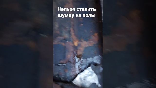Что будет если постелить шумку на дно?! смотреть онлайн