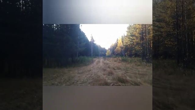 За Грибами | Застрял | ИЖ Планета | Rusia RULIT 54 смотреть онлайн