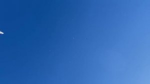 Вся будка в небо! Полет настоящих Бакинских голубей / Молодые голуби 2023 Ноябрь