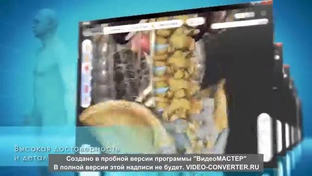 3D атлас анатомии человека мп4 смотреть онлайн