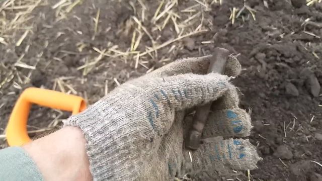 Коп по Брянским полям с Minelab смотреть онлайн