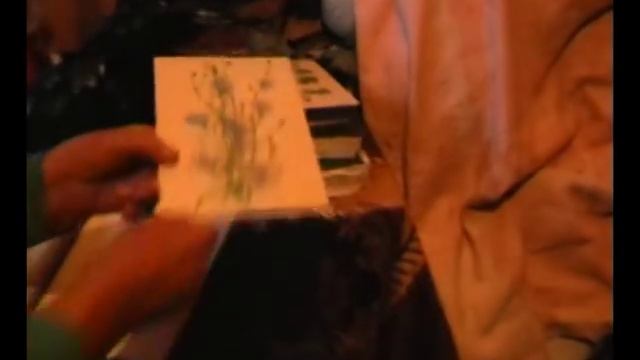 Лечим тяжелые болезни и онкологию травами с Еленой Фёдоровной Зайцевой часть 3 смотреть онлайн