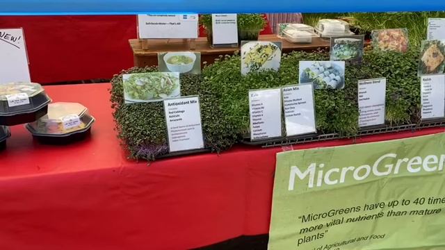 Micro greens Tower Garden смотреть онлайн