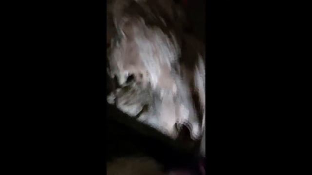 сельская пищерра смотреть онлайн