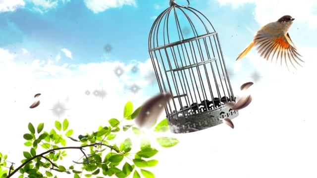 Пушкин А. С. "Птичка". Стихотворение смотреть онлайн