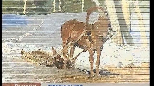 Шедевр И.Левитана "Март" прибыл на ВЭФ смотреть онлайн