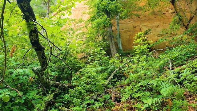 Удивительная красота Адыгеи. Однодневный поход на гору Монах. Подвесной мост в Никеле. смотреть онлайн