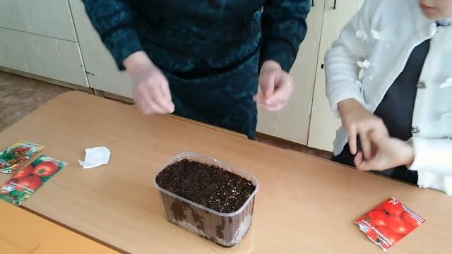 Начало исследовательской работы смотреть онлайн