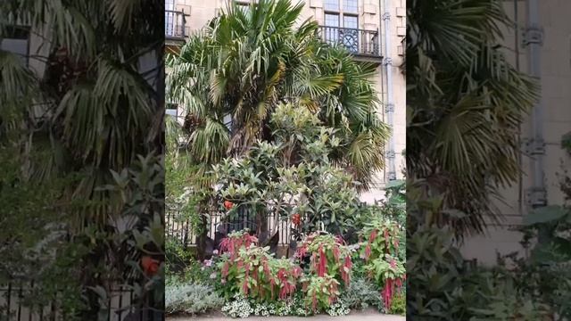 645 Послание от Господа. Лиля смотреть онлайн