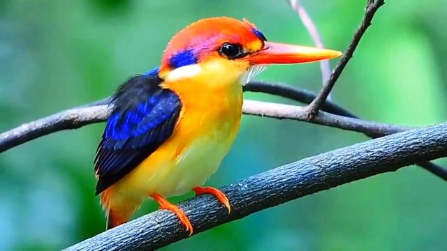 RELAX MUSIC*Gold saxophone*Music for the soul* Успокаивающая Красивая Музыка! Волшебный Саксофон* смотреть онлайн