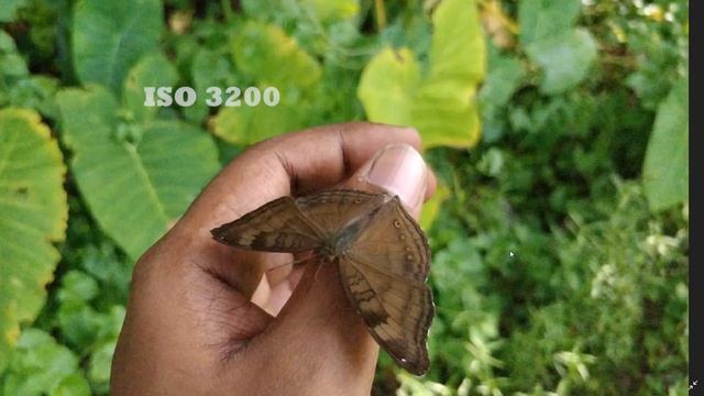 Mobile Camera Pro/Manual/Expert Mode PART 1 Explained In Malayalam