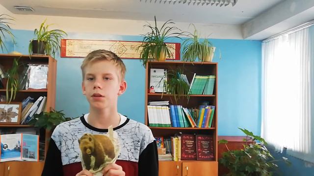 Бурый медведь смотреть онлайн