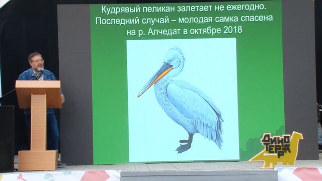 Скалон Николай Васильевич смотреть онлайн