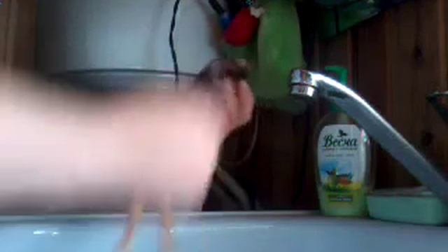 Элегантные Укладки