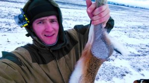 ОХОТА НА ЗАЙЦЕВ СО ЩЕНКАМИ