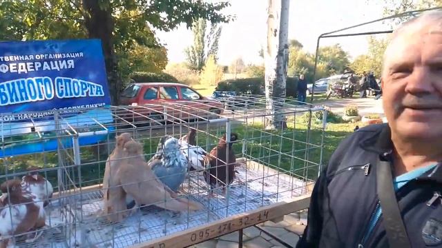 Обзор Выставки и Ярмарки голубей г.Шахтёрск.Вручение Почётных Грамот. 1 часть смотреть онлайн