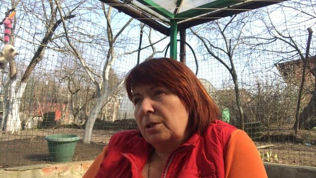Чудесная погода)) Фазан и куры! Рич и Изя) Александру и всех именинников с днём рождения ! Радости смотреть онлайн
