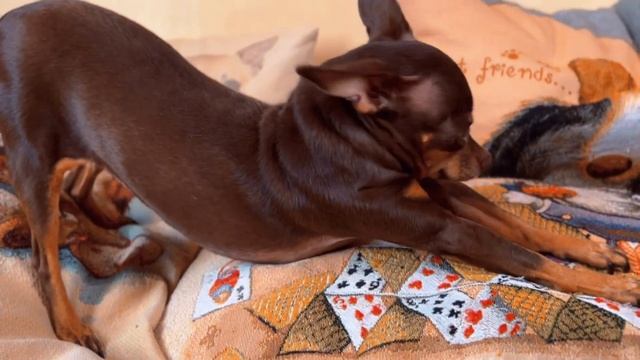 Рецепты Десертов