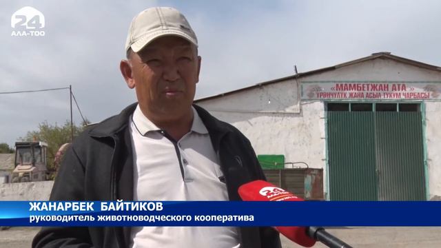 Талас: заготовка кормов для скота смотреть онлайн