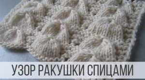 Узор Ракушки спицами для кардигана, кофты