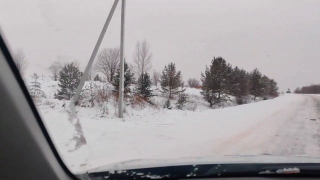 Висим дорога через зоопарк смотреть онлайн