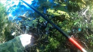 Летняя Ловля Ротана На Поплавочную Удочку