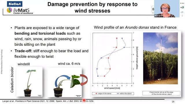 LIMtalk E-Series: "Plant-inspired damage control..." смотреть онлайн