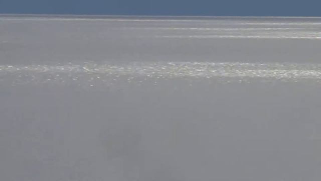 AZALIA смотреть онлайн