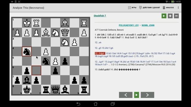 Динамика в шахматах по партии Полугаевский - Нанн. Защита Бенони. Поиск лучшего хода смотреть онлайн