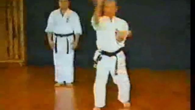03 -Kata KANSHU & BUNKAI - Uechi-ryu KENSEIKAI - Senaga Yoshidzune